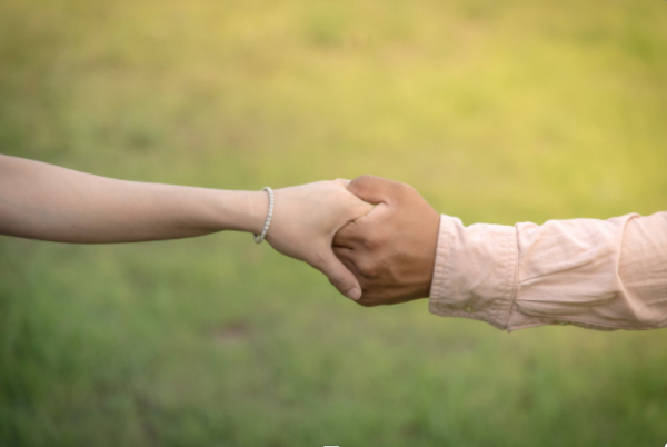 Hands holding in grass field