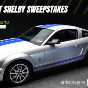Shelby FB image (1200 × 600 px) (2)