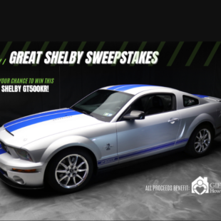 Shelby FB image (1200 × 600 px) (3)