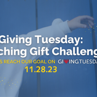 Giving Tuesday Email Headers (1)