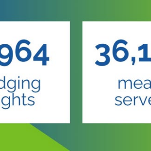 lodging nights, meals served